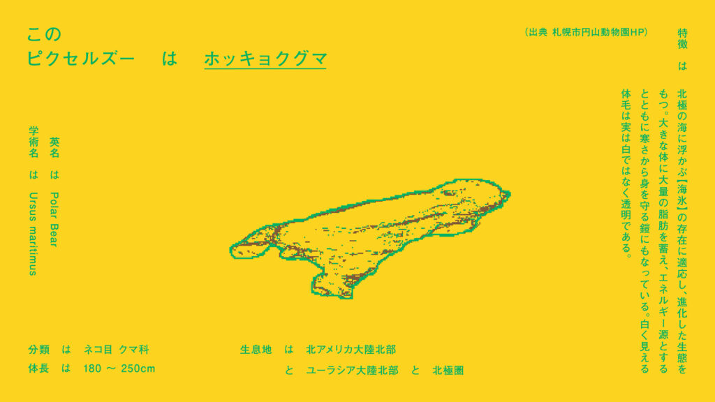 ピクセルズー_07_STUDIOWONDER